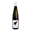 Grand Cru Geisberg Riesling
